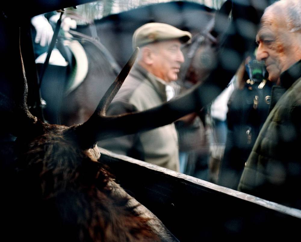 Chasse à courre